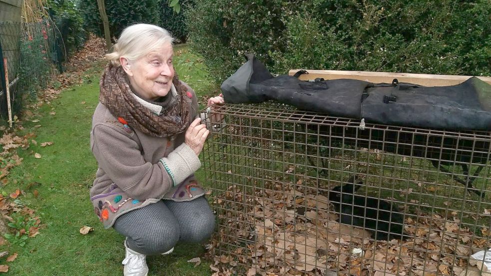 Tierschützerin Uschi Cassens stellte, unterstützt von ihren Helfern eine Lebendfalle auf. Foto: privat