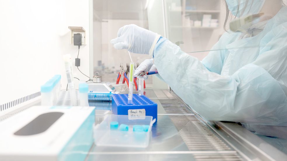 Eine Labormitarbeiterin bereitet Proben für einen PCR-Test vor. Mittels PCR-Corona-Test kann in einer Probe zuverlässig nachgewiesen werden, ob Erreger vorhanden sind. Foto: DPA
