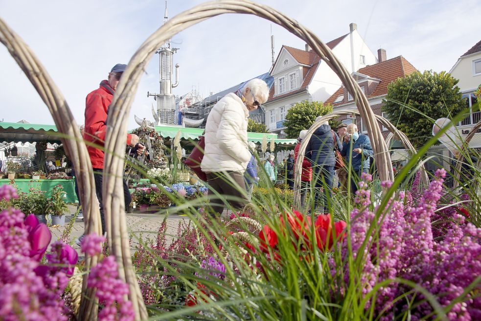 Beim Geranien- sowie beim Heidemarkt sollen in diesem Jahr im Westen und im Süden der Stadt eigenständige Pflanzenmärkte stattfinden. Foto: Holger Janssen