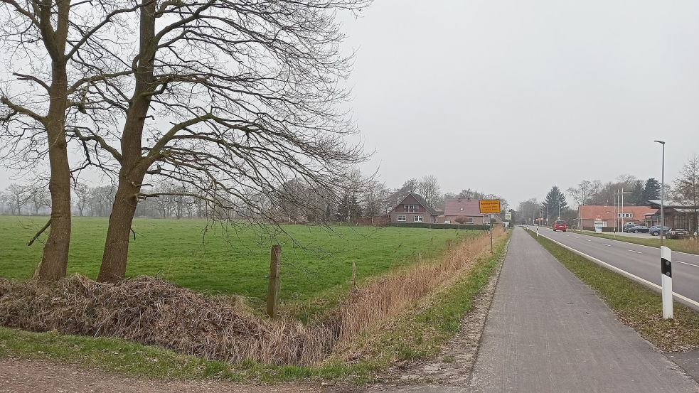 An der Auricher Straße in Westerende sollen auf einer Fläche neben der Grundschule eine Kita sowie ein Neubaugebiet entstehen. Foto: Imke Cirksena