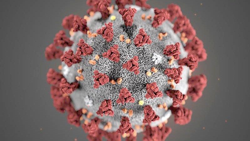 Das Coronavirus. Archivbild: DPA