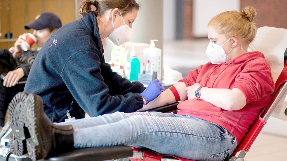 Eine Mitarbeiterin beim Blutspendedienst des Deutschen Roten Kreuzes, nimmt von einer Spenderin Blut ab. Foto: DPA