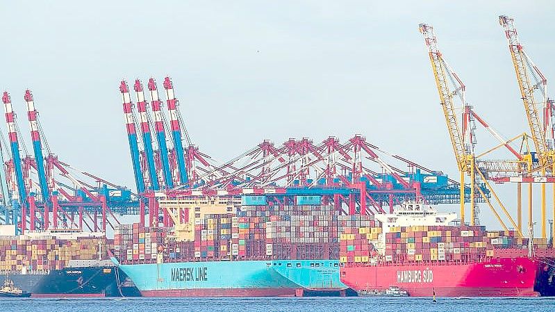 Der Container-Terminal in Bremerhaven. Foto: Sina Schuldt/dpa