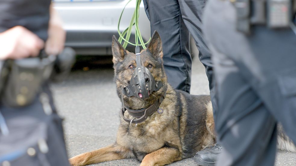 Diensthunde bei der Hamburger Polizei Foto: Axel Heimken