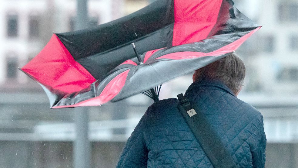Der Regenschirm eines Spaziergängers wird wegen einer Windböe umgeklappt. (Symbolbild) Foto: dpa/Thissen