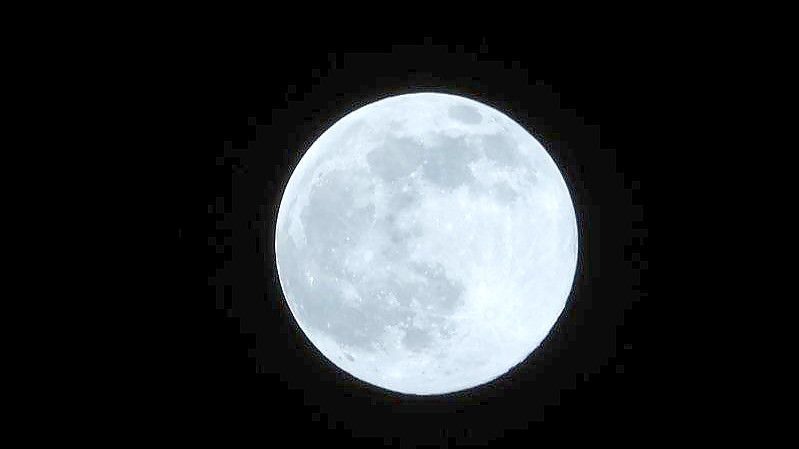 Der erste Vollmond des Jahres. Ein Teil einer SpaceX-Rakete könnte laut US-Raumfahrtbehörde Nasa Anfang März mit dem Himmelskörper zusammenstoßen. Foto: Thomas Lindemann/TNN/dpa