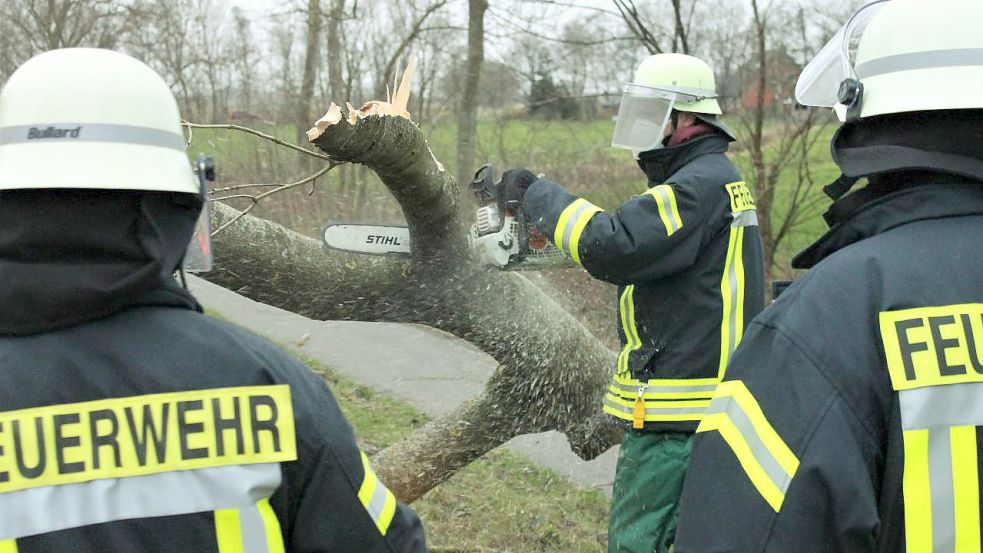 Sturmtief Nadja beschäftigt die Einsatzkräfte seit Sonnabend. Fotos: Feuerwehr