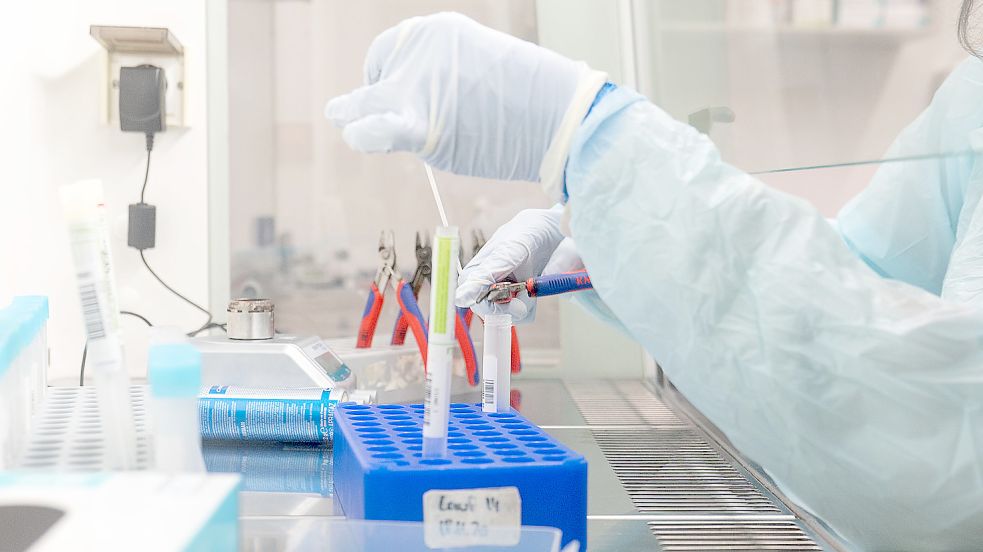 Eine Labormitarbeiterin bereitet Proben für einen PCR-Test in einem Labor vor. Foto: DPA