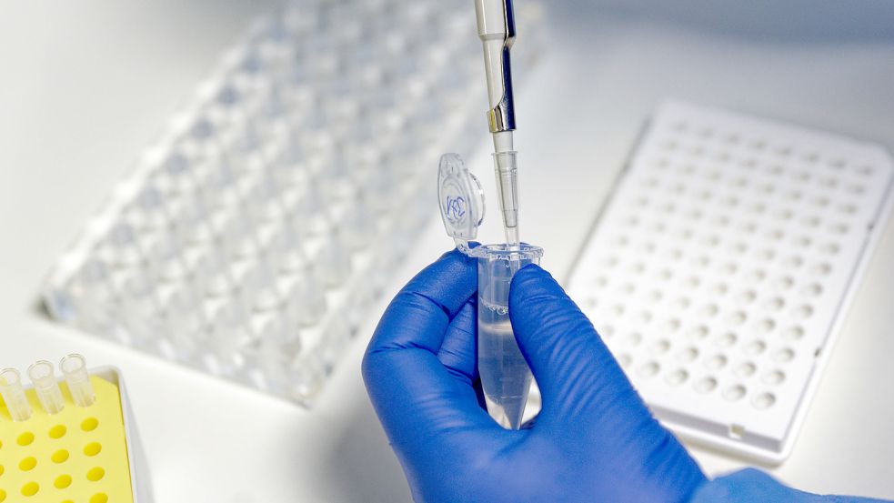 Da die Labore beim Auswerten der PCR-Tests an ihre Grenzen geraten, sollen nun Apotheken mit Hilfe einer Förderung für das Testen gewonnen werden. Foto: DPA