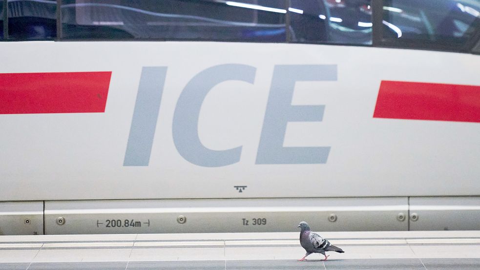 Wegen einer Streckensperrung kommt es auf der Bahnstrecke zwischen Hamburg und Berlin zu Ausfällen von ICE-Verbindungen. Foto: dpa/Annette Riedl