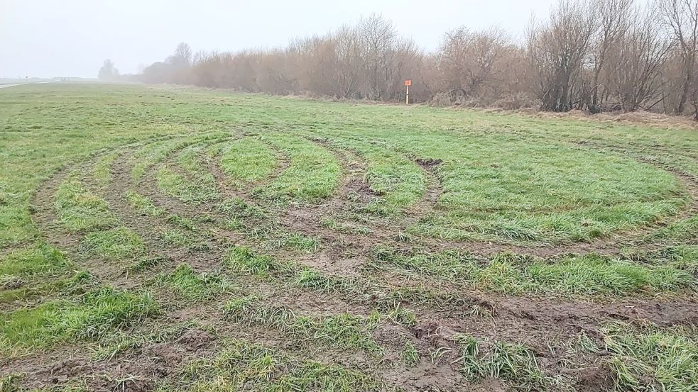 Autospuren: Die schützende Grasnarbe eines Deiches an der Knock wurde stark beschädigt. Foto: Deichacht