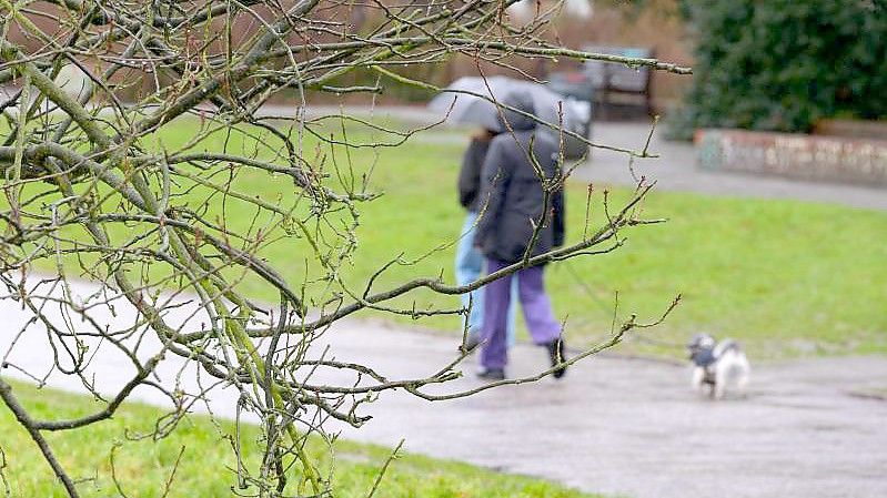 Spaziergang trotz Regens in Hamburg. Foto: Jonas Walzberg/dpa