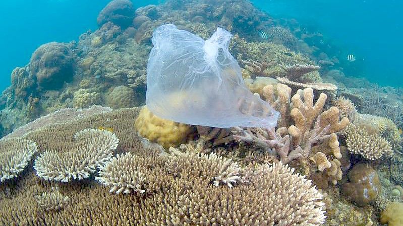 Eine Plastiktüte auf einem Korallenriff in Malaysia. Foto: WWF/dpa