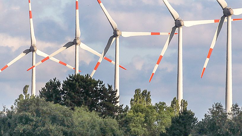 Der Klimaschutz soll nach dem Willen des Landkreistages in Niedersachsen an Bedeutung gewinnen. Das Land soll die Finanzierung übernehmen. Foto: Rüdiger Wölk via www.imago-images.de