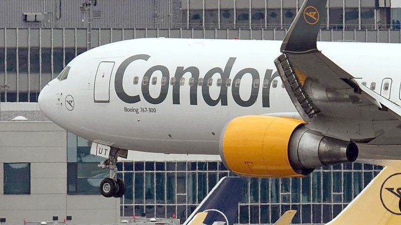 Ein Passagierflugzeug des Ferienfliegers Condor am Flughafen in Frankfurt am Main. Foto: Boris Roessler/dpa