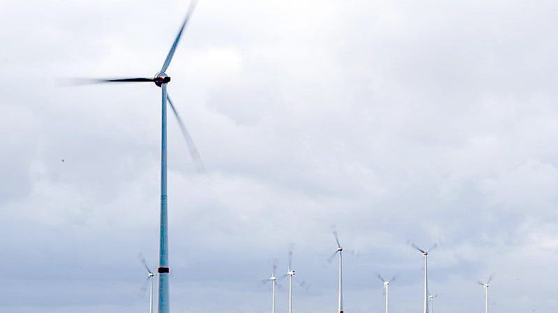 Strom aus Wind- und Sonnenkraft soll Deutschland aus der Abhängigkeit von Öl und Gas befreien. Brandenburg und Sachsen-Anhalt haben unter den ostländern in Sachen klimaneutrale Energievesorgung die Nase vorn. Foto: Christophe Gateau/dpa