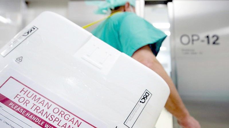 Ein Styropor-Behälter zum Transport von zur Transplantation vorgesehenen Organen. Foto: Soeren Stache/dpa