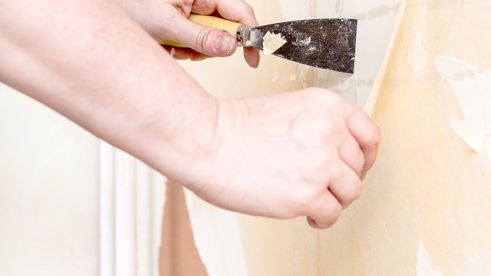Hinter seiner tapezierten Wand ist ein Student auf ein großes Ölgemälde gestoßen. (Symbolbild) Foto: Colourbox/Valery Voennyy