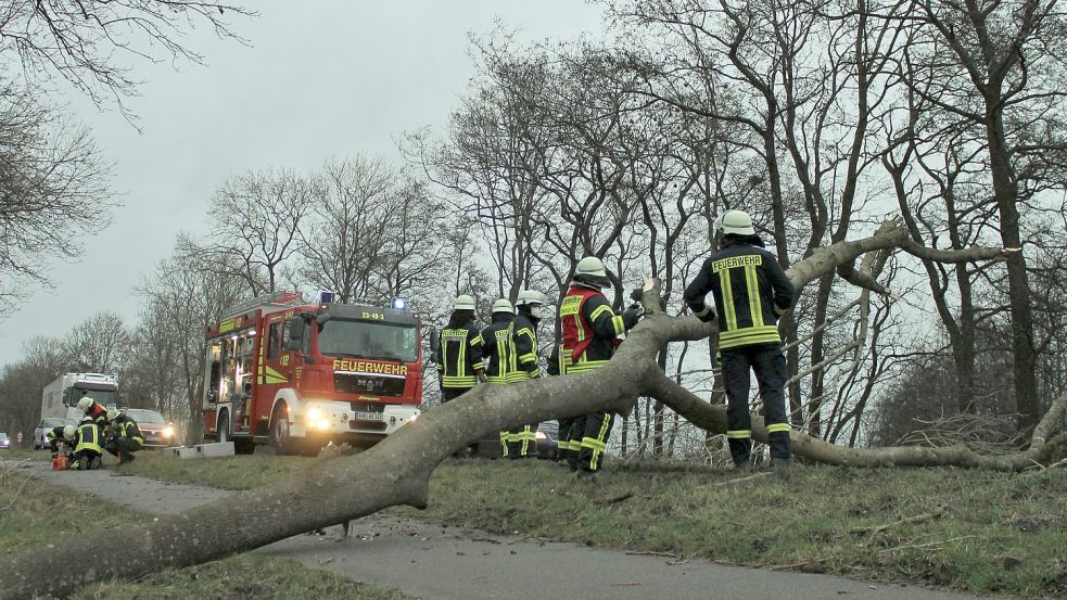 Auch bei Sturmtief Nadia musste die Feuerwehr Straßen von umfallenden Bäumen befreien. Foto: Kreisfeuerwehr