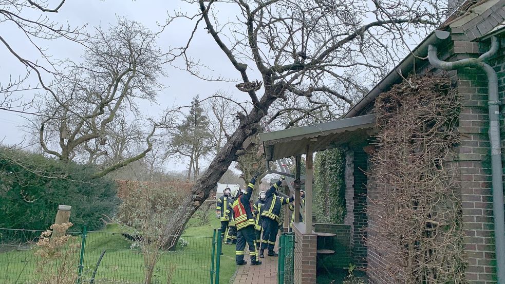 In Rahe kippte ein Baum auf ein Haus. Foto: Feuerwehr