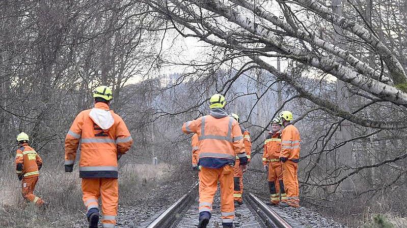 Das Sturmtief „Zeynep“ hat auch in Tschechien erhebliche Schäden angerichtet. Foto: Pavlíèek Lubo/CTK/dpa