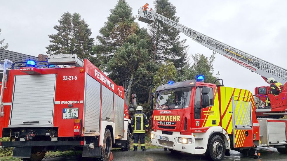 Mit Hilfe der Drehleiter der Feuerwehr Aurich kümmerte sich die Feuerwehr Wiegboldsbur um einen vom Sturm beschädigten Baum. Foto: Feuerwehr Wiegboldsbur
