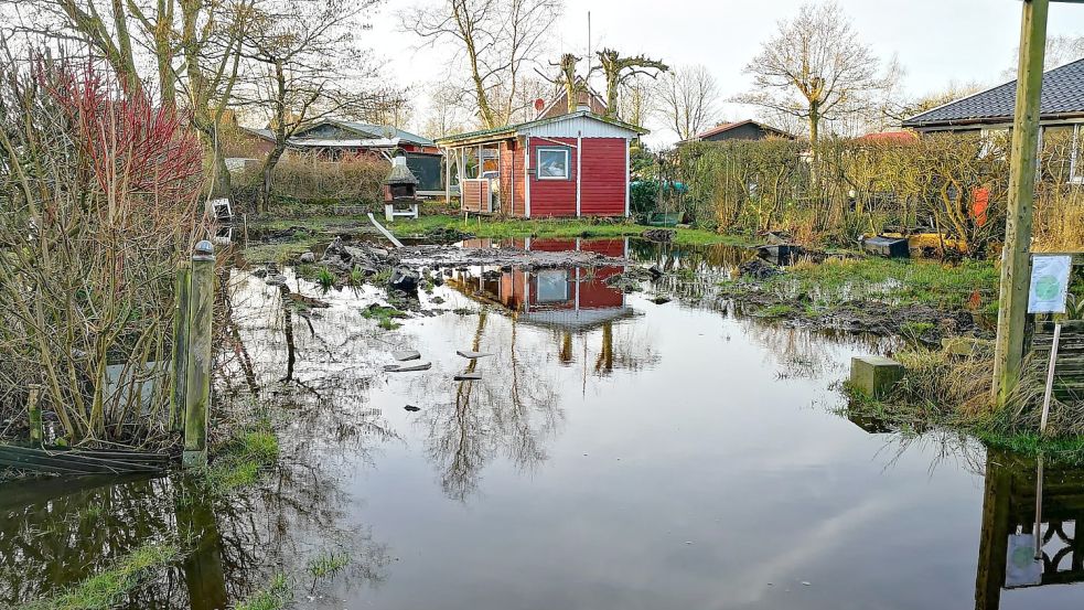 Am Morgen stand auf mehreren Grundstücken im Hasenweg noch das Wasser. Foto: Karin Böhmer