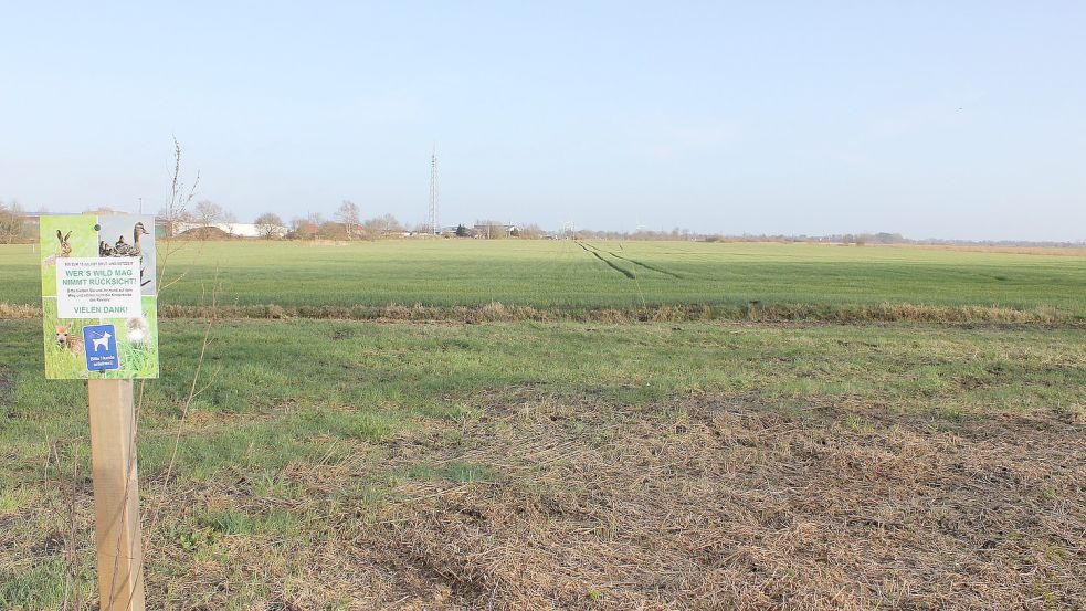 Zwischen der Bahnlinie, die bislang das Gewerbegebiet (kinten links im Bild) und das Grünland trennt, und den Eetweg könnte in fernerer Zukunft vielleicht auch mal Gewerbe entstehen. Foto: Karin Böhmer