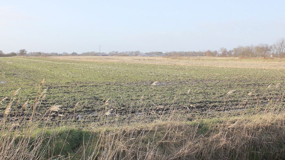 Vom Siegelsumer Moorweg aus sieht die Erweiterungsfläche bis zum Gewerbegebiet (im Hintergrund) gewaltig aus. Foto: Karin Böhmer