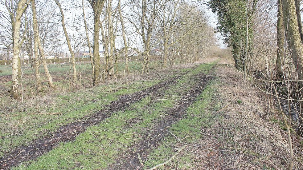 Der Bahnweg ist vom Eetsweg aus recht naturnah und an einer Stelle auch überwachsen. Foto: Karin Böhmer