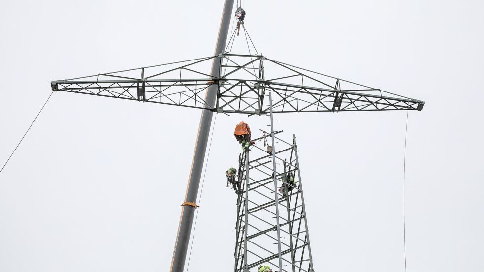 Am Dienstag trug eine Baumfirma Teile des Masts ab. Foto: Romuald Banik