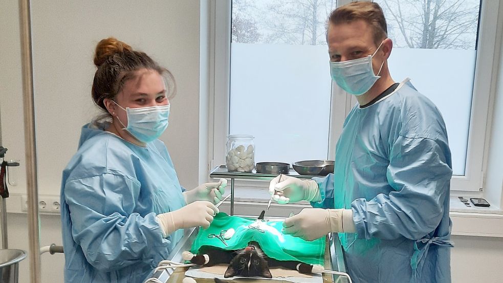 Kastrationen sind in Tierarztpraxen Routineeingriffe. Dr. Mathias Schumann und Auszubildende Claire-Emilia Meyer bereiten einen Eingriff vor. Foto: Tierarztpraxis Burhafe/Middels