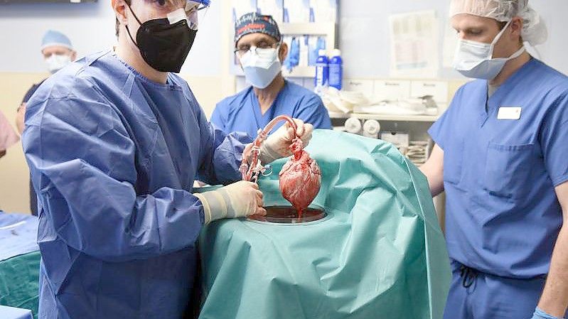 Ärzte setzen im Januar David Bennett das Schweinherz ein. Foto: Tom Jemski/University of Maryland School of Medicine/dpa