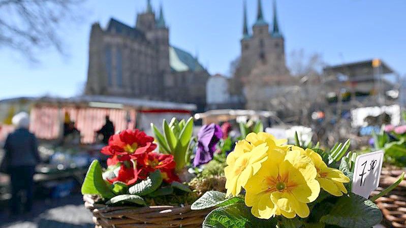 Die Sonne lacht - Frühlingswetter in Erfurt. Foto: Martin Schutt/dpa-Zentralbild/dpa