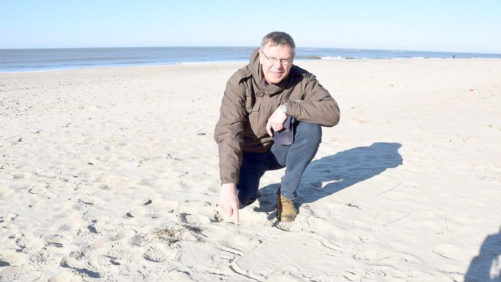 Bürgermeister Harm Olchers malt im Sand auf, wo sich auf Baltrum eine Düne gebildet hat. Sie verhindert, dass ein Großteil des Sandes, der jetzt im Insel-Osten liegt, wieder auf den Badestrand zurückgeweht wird. Foto: Zuidema