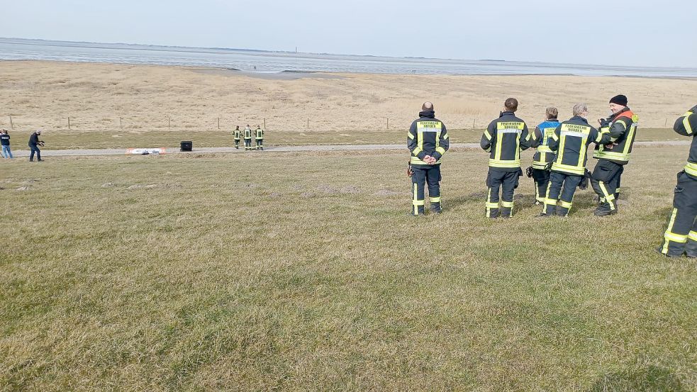 Feuerwehrleute beobachten vom Deich aus, wie sich Einsatzkräfte in Wathosen dem Tier näherten. Foto: Feuerwehr