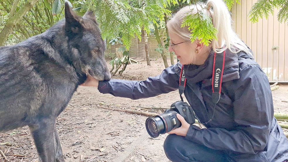 Die Südbrookmerlanderin Saskia Stöhr arbeitete für eine Fotoreportage mit Wölfen. Foto: privat