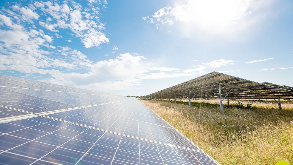 Sonnenenergie wird genutzt, gleichzeitig wird etwas für die Natur getan: So sieht das Konzept der Wattmanufactur aus Schleswig-Holstein aus, das unter anderem in Klein Rheide an der Westküste Schleswig-Holsteins umgesetzt worden ist. Foto: Wattmanufactur