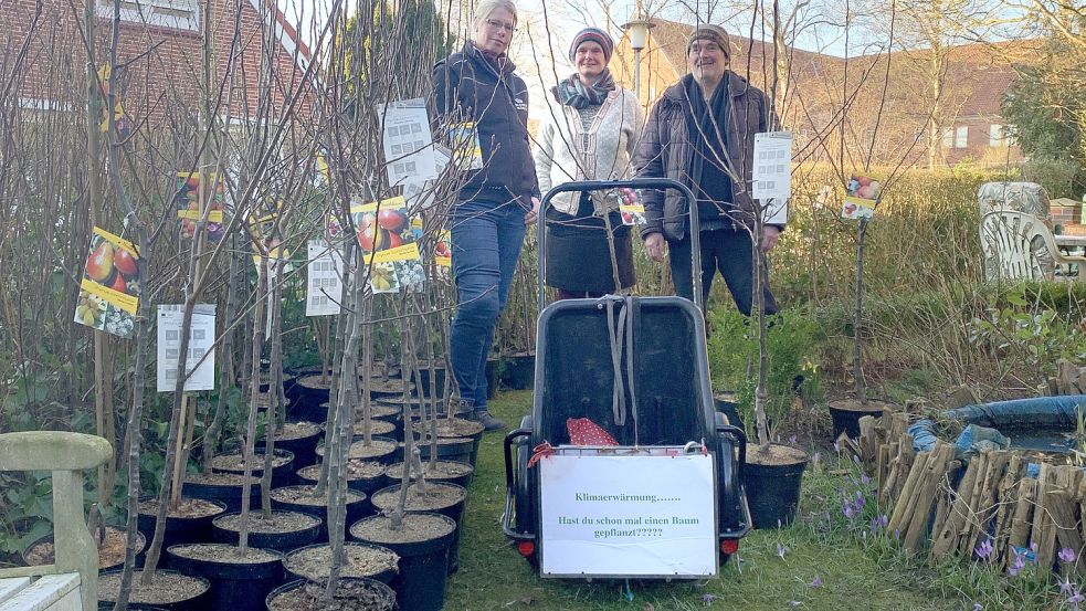 Im Ligusterweg 14 warten 50 Obstbäume auf ihre neuen Besitzer. Die Obstbäume werden geliefert. Foto: privat