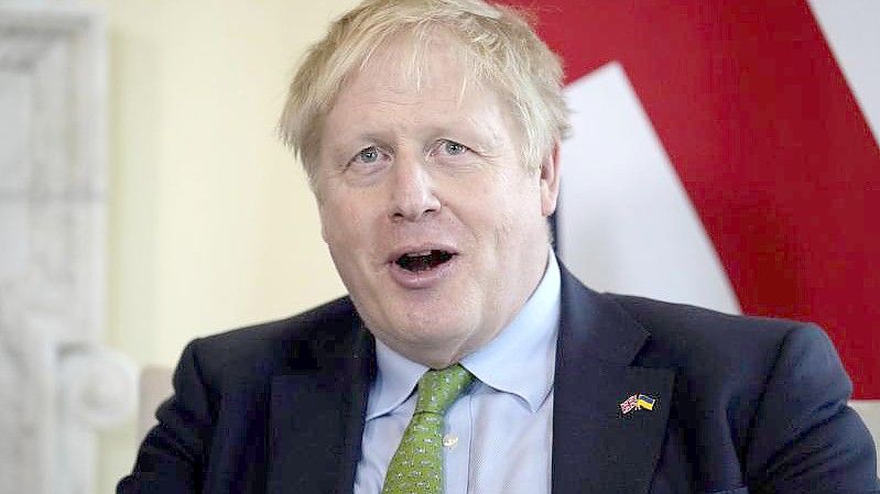 Hat Boris Johnson, Premierminister von Großbritannien, die Evakuierung von Hunden und Katzen aus Kabul angeordnet. Hinweise darauf verdichten sich. Foto: Matt Dunham/AP POOL/AP/dpa