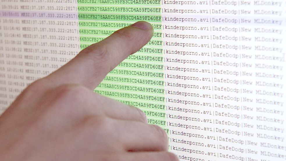 Ein Cyberkriminalist zeigt auf einen von ihm vorbereiteten Monitor. Foto: DPA