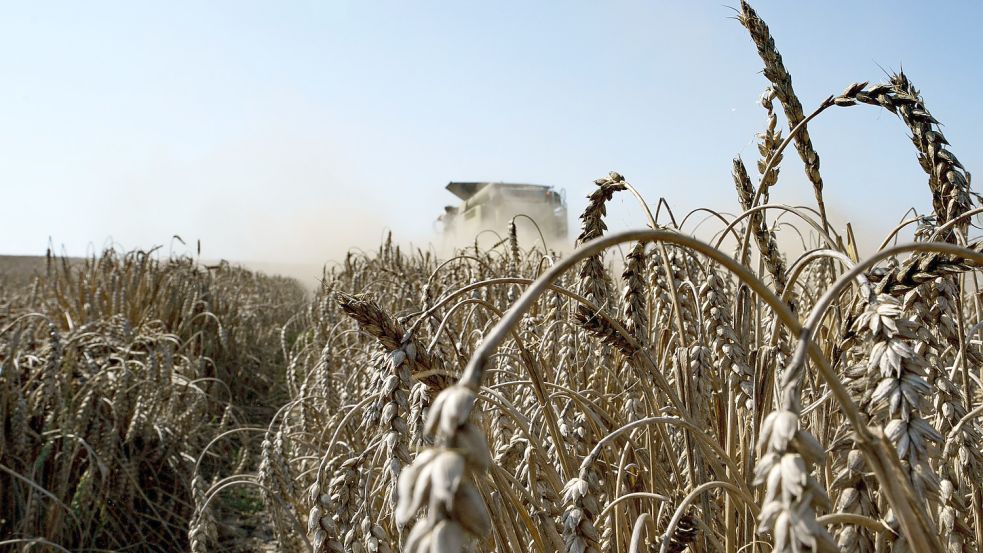 Ein Mähdrescher bei der Arbeit auf einem Weizenfeld. Durch den Krieg in der Ukraine wird ein globaler Getreidemangel befürchtet. Foto: DPA