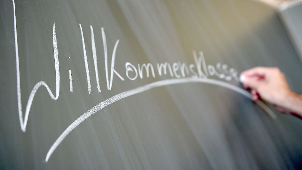 Viele Ehrenamtliche heißen die Kriegsflüchtlinge Willkommen und wollen helfen. Doch teilweise verzweifeln Helfer auch an den bürokratischen Vorgaben. Foto: DPA