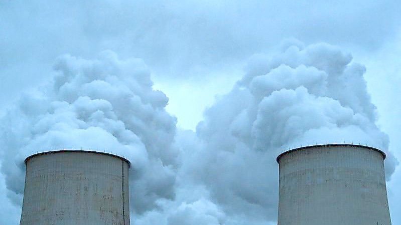 Wasserdampf steigt am frühen Morgen aus den Kühltürmen eines Braunkohlekraftwerks. (Symbolbild). Foto: Patrick Pleul/dpa-Zentralbild/dpa