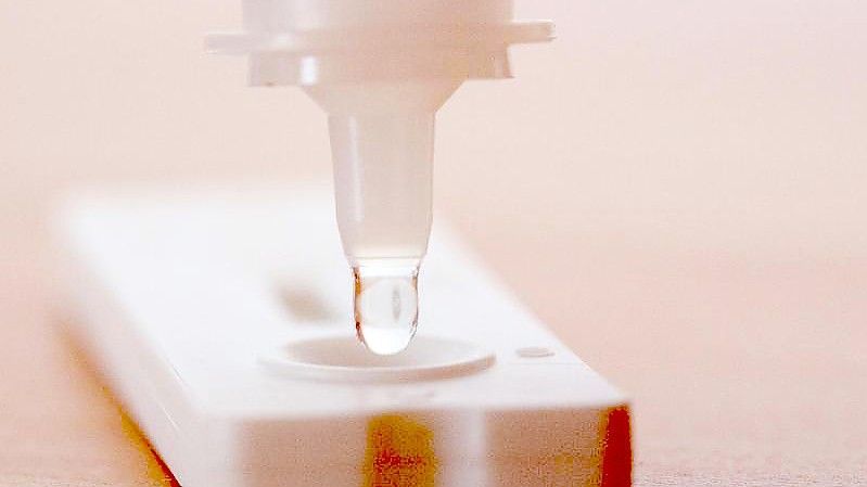 Ein Tropfen Testflüssigkeit fällt aus einem Probenbehälter auf einen Antigen-Schnelltest. Die bundesweite Sieben-Tage-Inzidenz der Corona-Neuinfektionen bleibt auf hohem Niveau. Foto: Fernando Gutierrez-Juarez/dpa-Zentralbild/dpa
