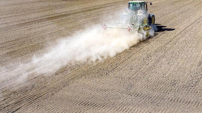 Die Frühjahrstrockenheit nimmt zu, das Wachstum von Agrarpflanzen ist vor allem im Nordosten gefährdet. Foto: Armin Weigel/dpa