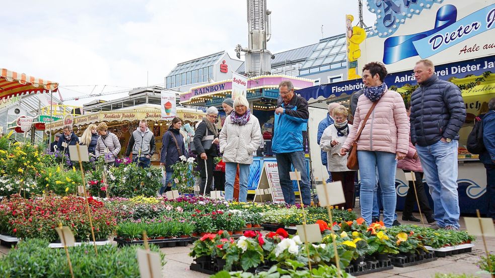 Zum Geranienmarkt in Aurich gehört seit Jahren eine Sonntagsöffnung. Foto: Helmut Vortanz