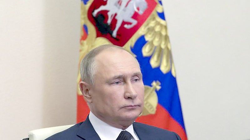 Dass sich Wladimir Putin und Wolodymyr Selenskyj bald persönlich treffen, um über Frieden zu sprechen, ist laut dem russischen Verhandlungsführer vorerst unwahrscheinlich. Foto: Mikhail Klimentyev/Pool Sputnik Kremlin/dpa