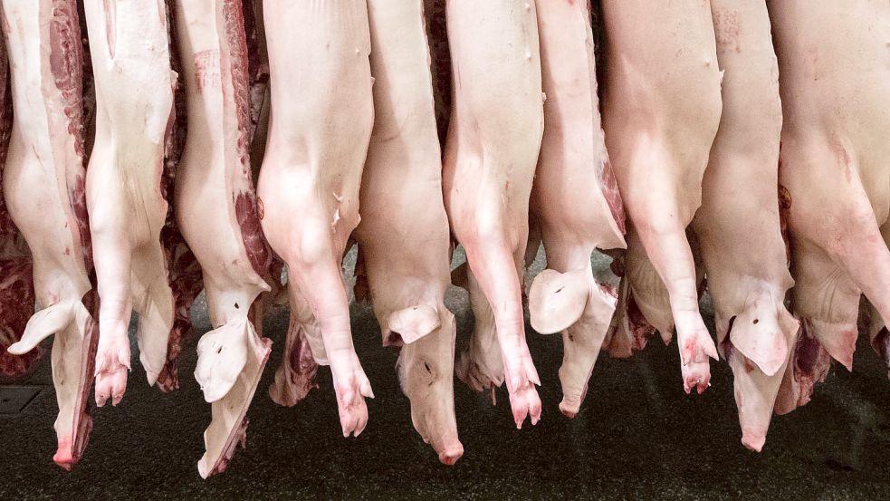 Schweine in einem Schlachthof: Derzeit, so sagt Analyst Klaus-Martin Fischer, machen die Unternehmen mit jedem Schwein Verlust. Wie lange geht das noch gut? Foto: dpa