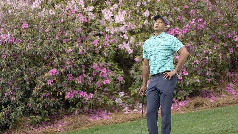 Star-Golfer Tiger Woods wartet am 13. Loch darauf, putten zu können. Foto: David J. Phillip/AP/dpa
